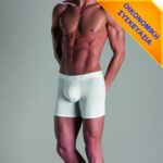 MINERVA Mengear Basic Boxer Long 2 τμχ-755