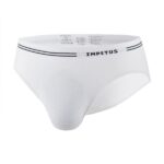 IMPETUS ΑΝΔΡΙΚΟ BRIEF COTTON SEAMLESS-4076