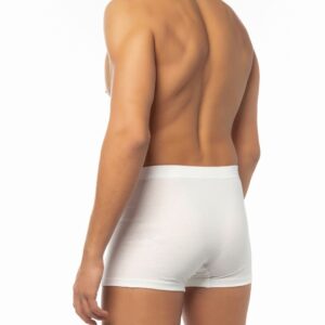 MINERVA ΑΝΔΡΙΚΟ Boxer Microcotton εσωτερικό λάστιχο***ΠΡΟΣΦΟΡΑ ΤΕΛΕΥΤΑΙΑ ΤΕΜΑΧΙΑ***-4728