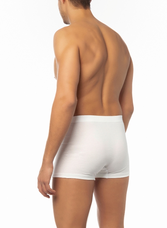 MINERVA ΑΝΔΡΙΚΟ Boxer Microcotton εσωτερικό λάστιχο***ΠΡΟΣΦΟΡΑ ΤΕΛΕΥΤΑΙΑ ΤΕΜΑΧΙΑ***-4728